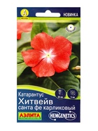 Семена цветов Катарантус Хитвейв санта фе карликовый  Спецсерия Hem Genetics, Ц/П,5 шт. - фото 61952456