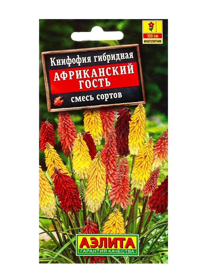 Семена цветов Книфофия Африканский гость, смесь сортов Мн, Ц/П,30 шт. - Фото 1