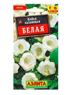 Семена цветов Кобея белая , Ц/П,0,45 г - фото 61952464