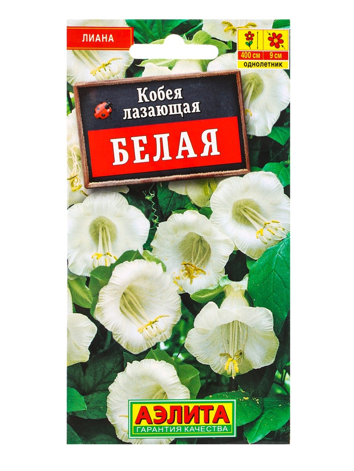 Семена цветов Кобея белая , Ц/П,0,45 г