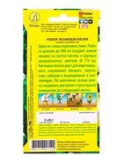 Семена цветов Кобея белая , Ц/П,0,45 г - фото 61952465