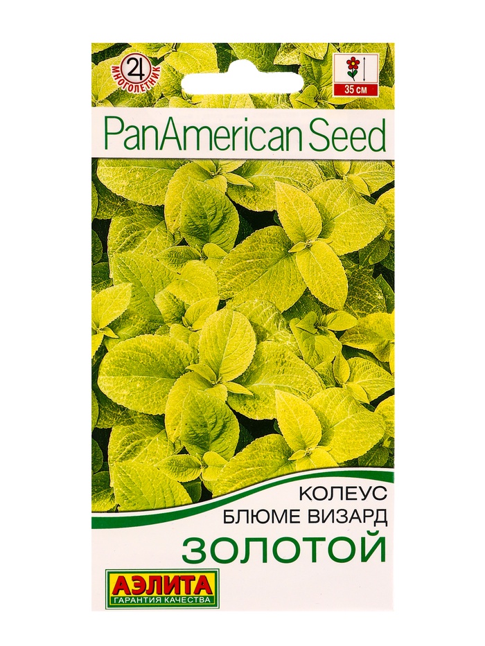 Семена цветов Колеус блюме Золотой Мн Спецсерия PanAmerican, Ц/П,5 шт. - Фото 1