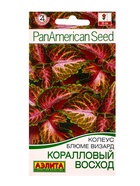 Семена цветов Колеус блюме Коралловый восход Мн Спецсерия PanAmerican, Ц/П,5 шт. (комплект 2 шт) - фото 61952474
