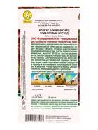 Семена цветов Колеус блюме Коралловый восход Мн Спецсерия PanAmerican, Ц/П,5 шт. (комплект 2 шт) - фото 61952475