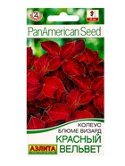 Семена цветов Колеус блюме Красный вельвет Мн Спецсерия PanAmerican, Ц/П,5 шт. - фото 809345374