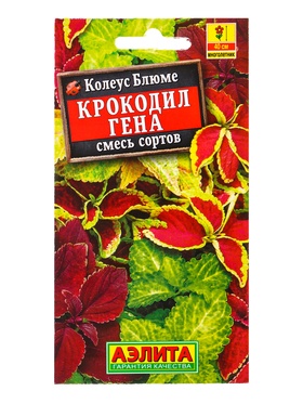 Семена цветов Колеус блюме Крокодил Гена, смесь сортов Мн, Ц/П,0,05 г (комплект 2 шт)