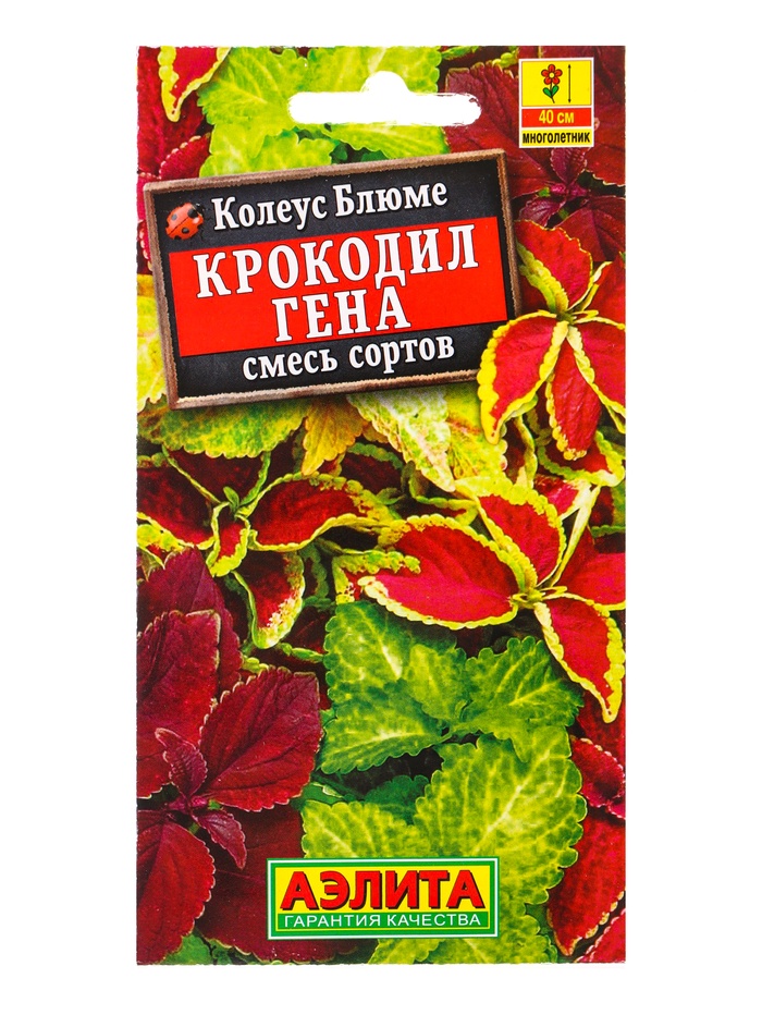 Семена цветов Колеус блюме Крокодил Гена, смесь сортов Мн, Ц/П,0,05 г - Фото 1