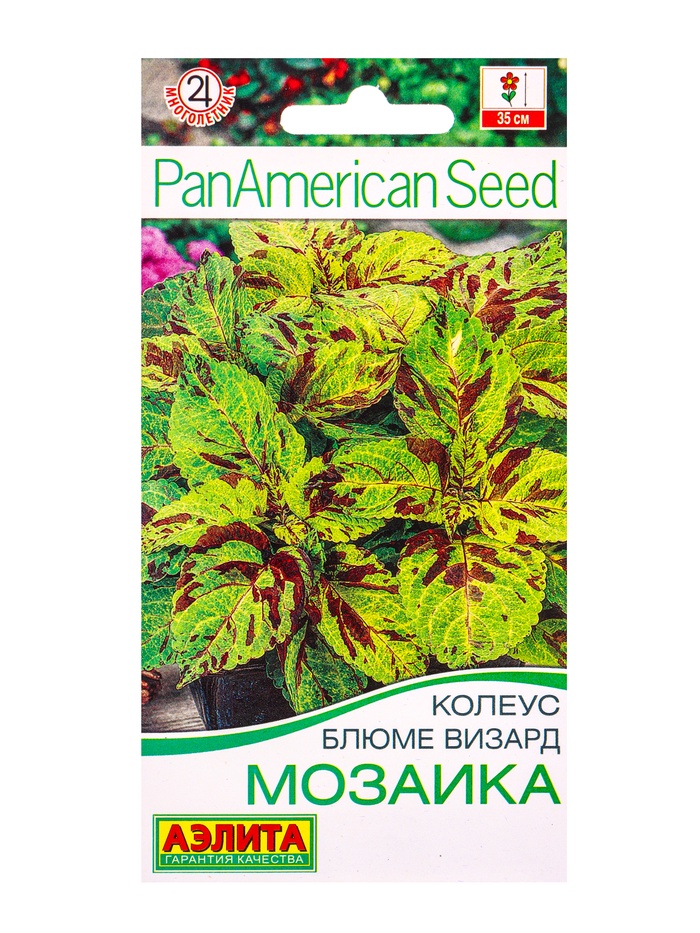 Семена цветов Колеус блюме Мозаика Мн Спецсерия PanAmerican, Ц/П,5 шт. - Фото 1