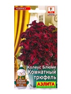Семена цветов Колеус Комнатный трюфель Мн Зимний сад, Ц/П,5 шт. - фото 61952482