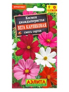 Семена цветов Космея Вега карликовая, смесь сортов , Ц/П,0,3 г 10945525