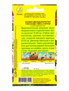 Семена цветов Космея Глиссандо, смесь сортов , Ц/П,0,3 г (комплект 2 шт) - фото 61952503