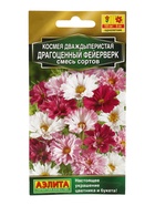Семена цветов Космея Драгоценный фейерверк, смесь сортов  Золотая серия, Ц/П,0,1 г - Фото 3