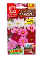 Семена цветов Космея Казанова, смесь сортов  Цветущий балкон, Ц/П,5 шт. - фото 61952506