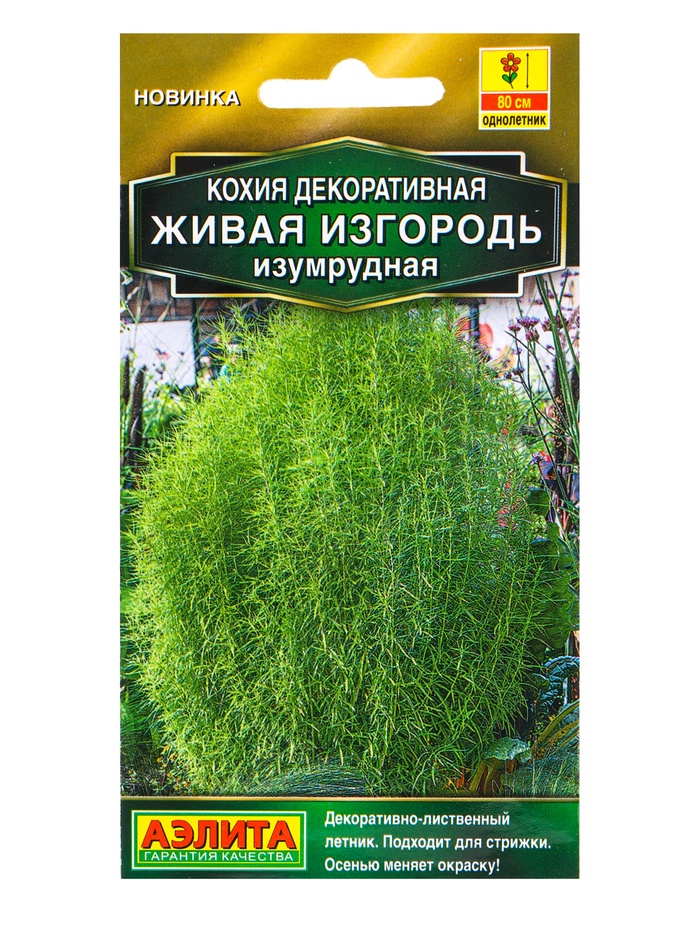Семена цветов Кохия Живая изгородь изумрудная  Золотая серия, Ц/П,0,1 г