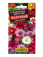 Семена цветов Ксерантемум Махровый, смесь сортов , Ц/П,0,1 г 10945535