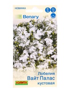 Семена цветов Лобелия Вайт палас кустовая  (драже в пробирке) Спецсерия Benary, Ц/П,5 шт. - фото 61952524