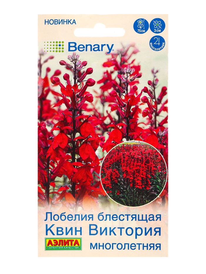 Семена цветов Лобелия многолетняя Квин Виктория Мн (драже в пробирке) Спецсерия Benary, Ц/П,7 шт. 10 - Фото 1