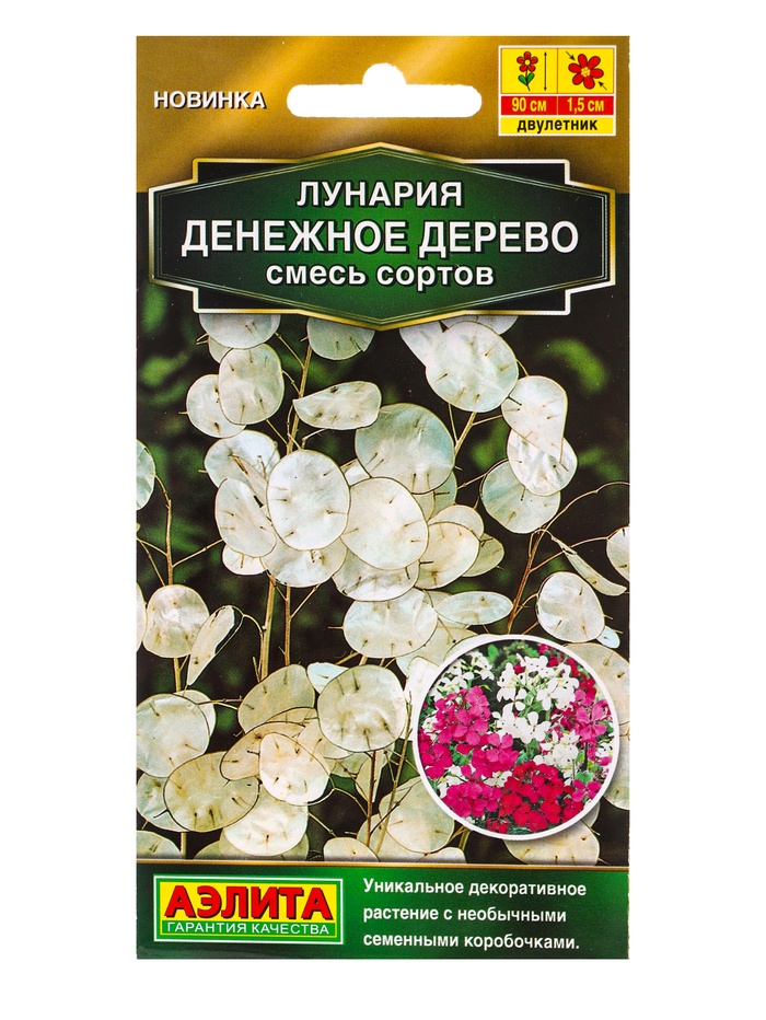 Семена цветов Лунария Денежное дерево, смесь сортов Дв Золотая серия, Ц/П,0,3 г - Фото 1