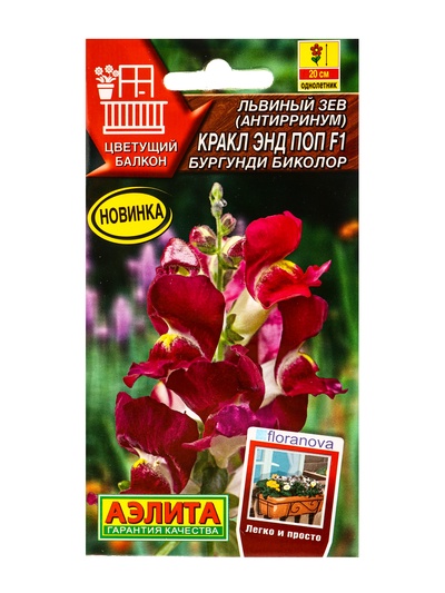 Семена цветов Львиный зев Кракл энд поп F1 бургунди биколор С. Floranova Цветущий балкон, Ц/П,7 шт.
