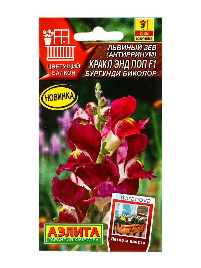 Семена цветов Львиный зев Кракл энд поп F1 бургунди биколор С. Floranova Цветущий балкон, Ц/П,7 шт. - Фото 1