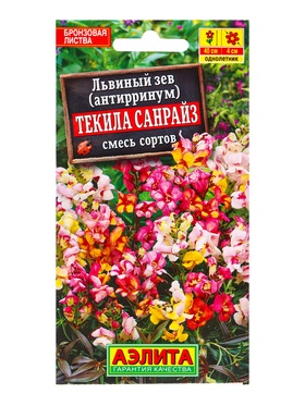 Семена цветов Львиный зев Текила санрайз, смесь окрасок , Ц/П,0,1 г