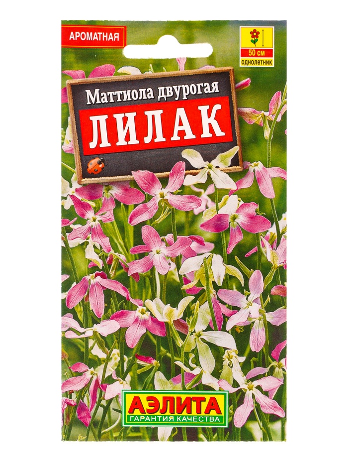 Семена цветов Маттиола двурогая Лилак , Ц/П,0,5 г - Фото 1