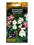 Семена цветов Маурандия лазающая, смесь сортов  Золотая серия, Ц/П,5 шт. 10945569