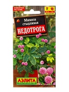 Семена цветов Мимоза Недотрога Мн, Ц/П,10 шт. (комплект 2 шт) - фото 61952568