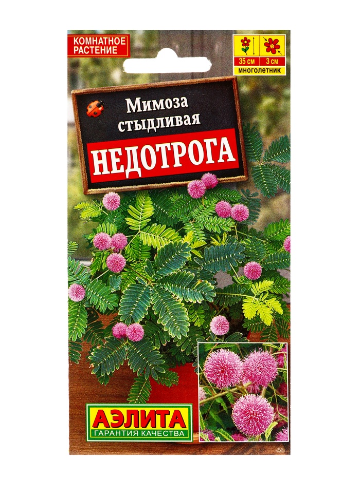 Семена цветов Мимоза Недотрога Мн, Ц/П,10 шт.