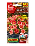 Семена цветов Мимулюс Медиус F1 малиновая пастель  (драже) С. Cerny Цветущий балкон, Ц/П,10 шт. 1094 10945576