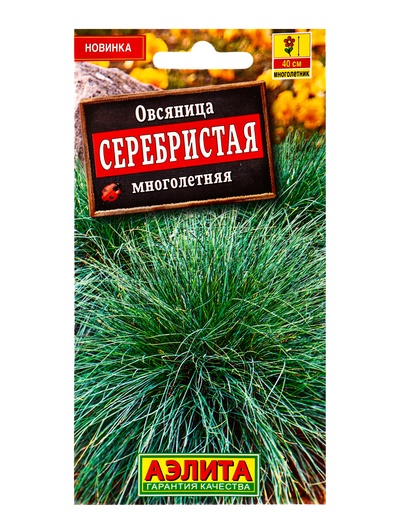 Семена цветов Овсяница Серебристая многолетняя Мн, Ц/П,5 шт.