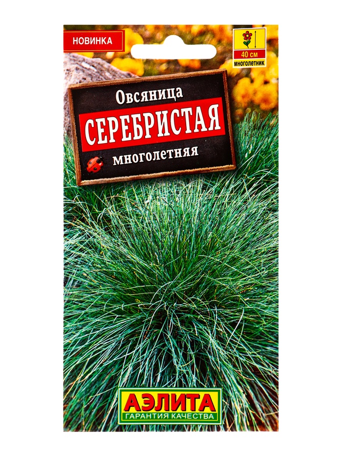 Семена цветов Овсяница Серебристая многолетняя Мн, Ц/П,5 шт. - Фото 1