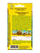 Семена цветов Овсяница Серебристая многолетняя Мн, Ц/П,5 шт. - Фото 2