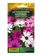 Семена цветов Остеоспермум Баллада,смесь сортов  Золотая серия, Ц/П,10 шт. - фото 809345590