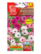 Семена цветов Остеоспермум Звездное сияние карликовый, смесь сортов  Цветущий балкон, Ц/П,10 шт. 109 - фото 809345592