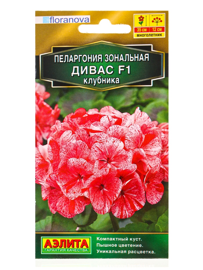 Семена цветов Пеларгония Дивас F1 клубника Мн Золотая серия, Ц/П,3 шт. - Фото 1