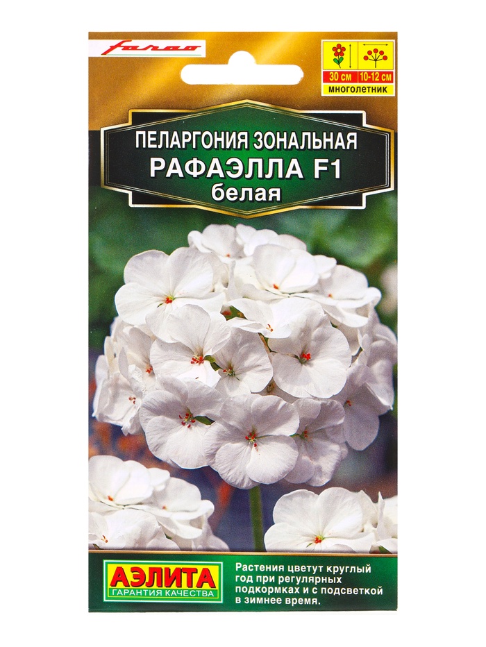 Семена цветов Пеларгония Рафаэлла F1 белая Мн С. Farao Золотая серия, Ц/П,5 шт. - Фото 1
