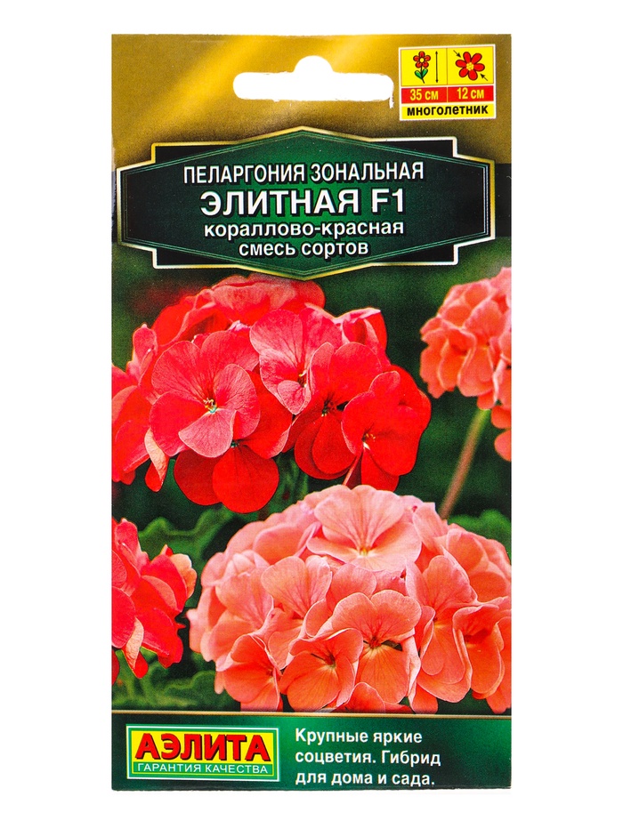 Семена цветов Пеларгония Элитная F1 кораллово-красная, смесь сортов Мн Золотая серия, Ц/П,5 шт. 1094 - Фото 1