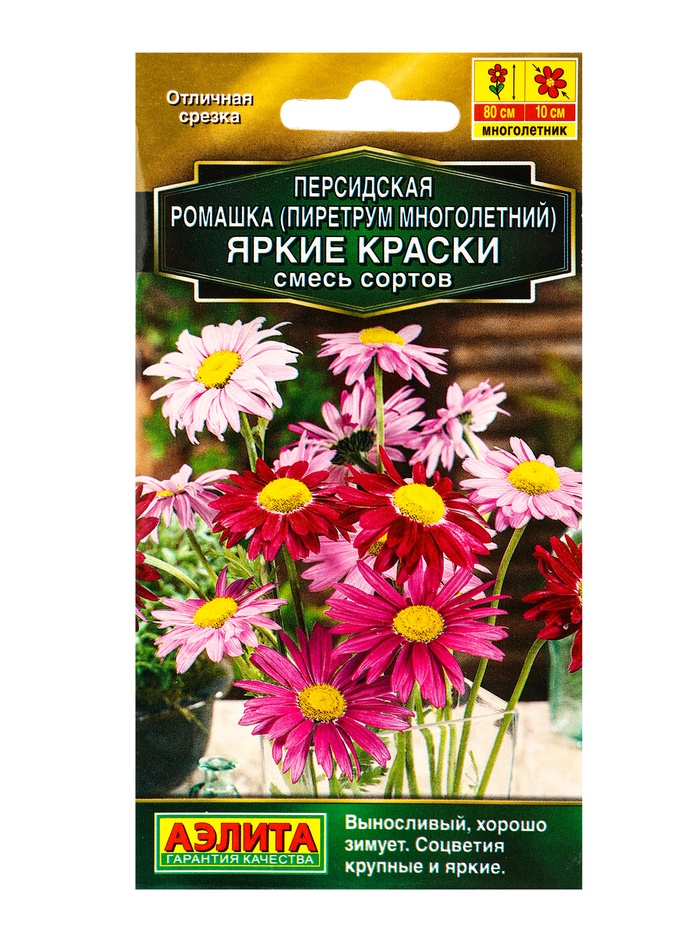 Семена цветов Персидская ромашка Яркие краски, смесь сортов Мн Золотая серия, Ц/П,0,1 г - Фото 1