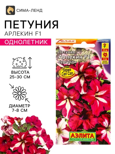 Семена цветов Петуния «Арлекин» F1, бургунди, крупноцветковая, драже, С. Farao, 5 шт.