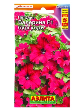 Семена цветов Петуния Балерина бургунди крупноцветковая F1  (драже) С. Farao, Ц/П,7 шт.