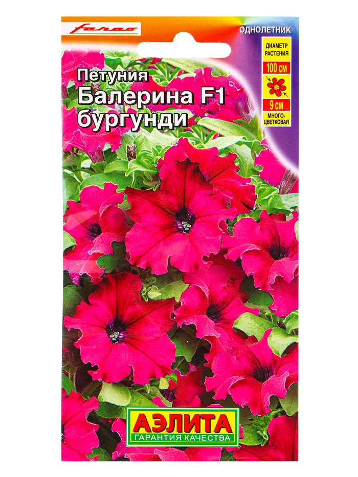 Семена цветов Петуния Балерина бургунди крупноцветковая F1  (драже) С. Farao, Ц/П,7 шт.