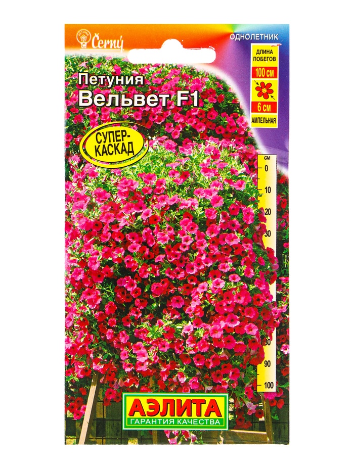 Семена цветов Петуния Вельвет F1 ампельная  (драже в пробирке) С. Cerny, Ц/П,4 шт.