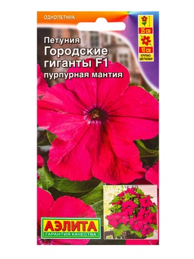 Семена цветов Петуния Городские гиганты F1 пурпурная мантия  (драже в пробирке), Ц/П,7 шт.