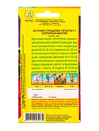 Семена цветов Петуния Городские гиганты F1 пурпурная мантия  (драже в пробирке), Ц/П,7 шт. - фото 61952693