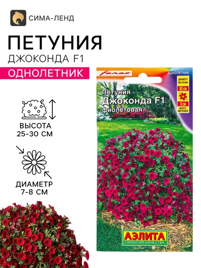 Семена цветов Петуния «Джоконда» F1, фиолетовая, драже, 5 шт.