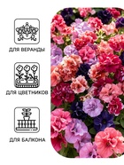Семена цветов Петуния «Дуо», смесь сортов, F1, 5 шт., PanAmerican, «АЭЛИТА» - Фото 3