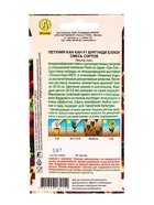 Семена цветов Петуния Кан кан F1 бургунди еллоу, смесь сортов (драже), Ц/П,5 шт. - фото 809345765