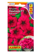 Семена цветов Петуния Ламбада F1 бургунди многоцветковая  (драже) С. Hem Genetics, Ц/П,7 шт. 1094574 - фото 61952784