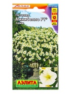 Семена цветов Петуния мини Минибелло F1 лайм многоцветковая  (драже) С. Farao, Ц/П,5 шт. - фото 61952808